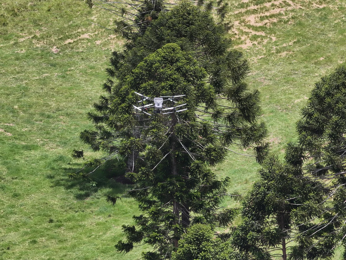 Drone with spreader attachment distributing granular material