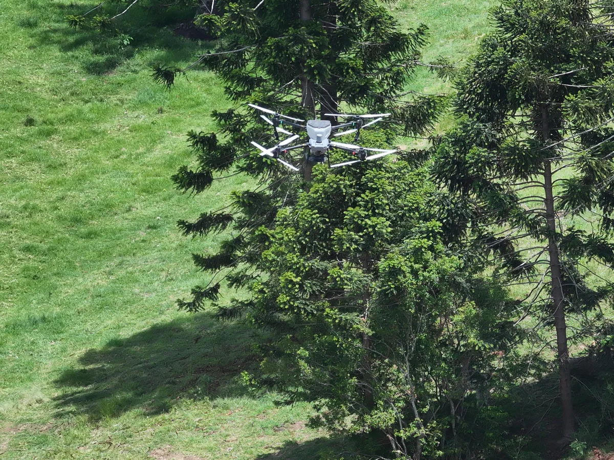 Aerial view of drone spraying operations