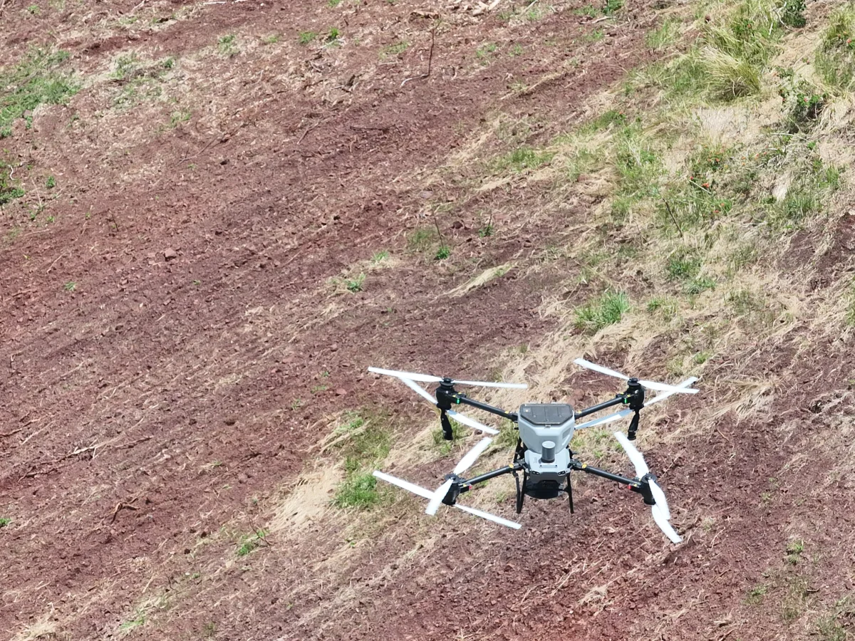 Aerial crop monitoring